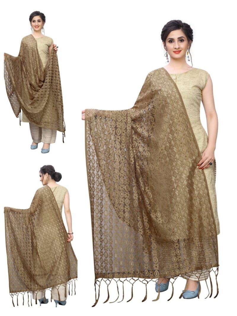 HashtagTrending Fashions Net Dupatta with Lace
