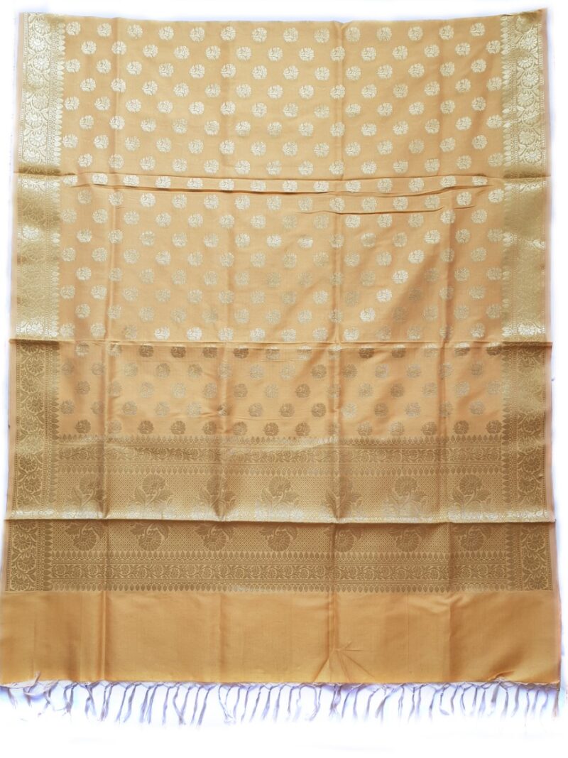 HashtagTrending Fashions Banarasi Dupatta