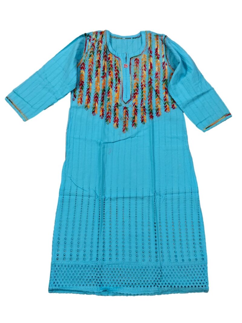 Women's Cotton Hand Embroidered Straight Kurta with Hakoba pattern multi colour embroidery - Blue