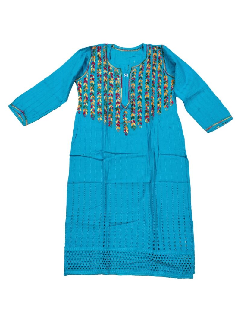 Women's Cotton Hand Embroidered Straight Kurta with Hakoba pattern multi colour embroidery - Blue
